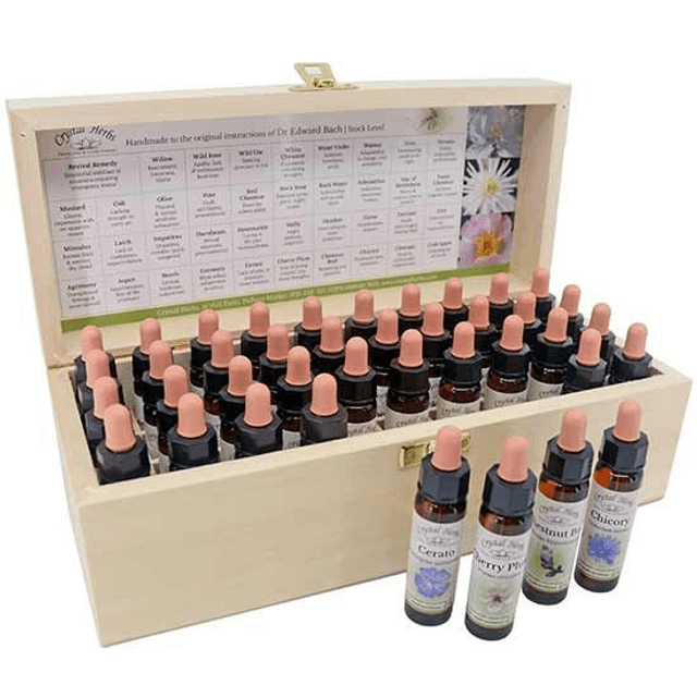 Bach Flower Essence Treatment