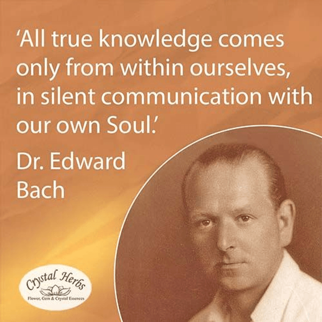 Bach Flower Essence Treatment