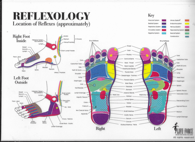 Reflexology Bundle: 4 Sessions