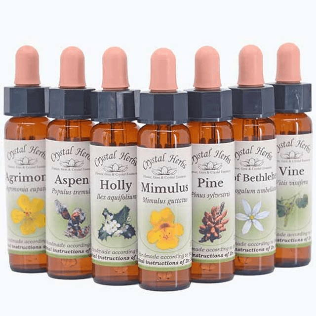 Follow up short session to check and refill Flower Essences.  