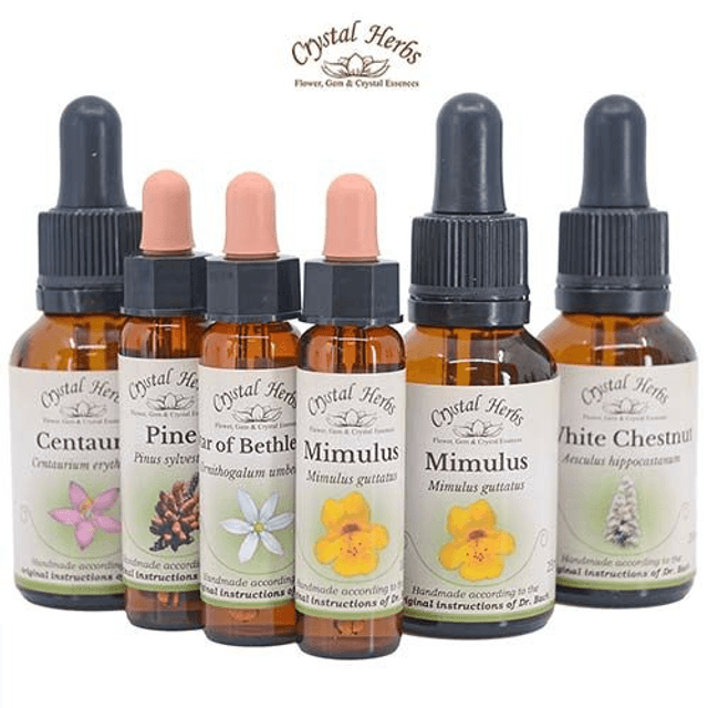 Follow up short session to check and refill Flower Essences.  