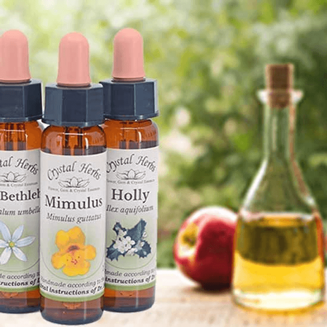 Bach Flower Essence Treatment